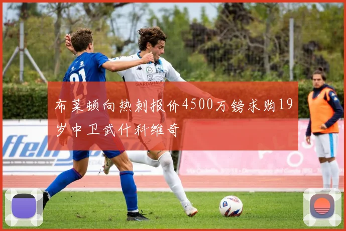 布莱顿向热刺报价4500万镑求购19岁中卫武什科维奇